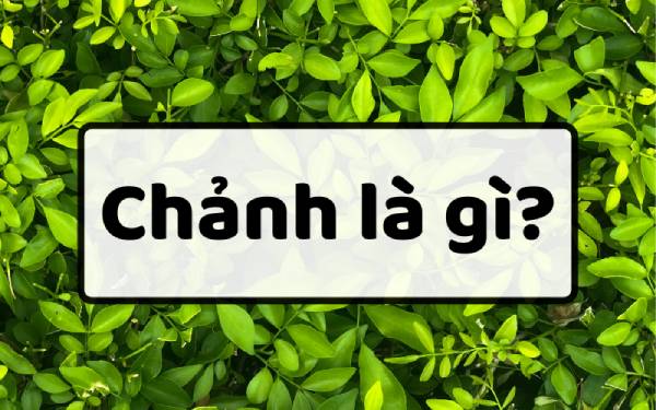 Chảnh, Sang Chảnh, Chảnh Chó Sự Khác Biệt Và Những Câu Chuyện Xung Quanh