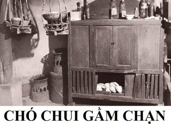 Ý nghĩa câu “Chó chui gầm chạn” mà không phải ai cũng biết